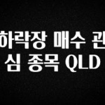후회하지 않는 하락장 매수 관심 종목 QLD 관심이 뜨겁습니다