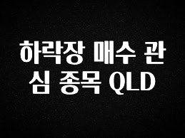 후회하지 않는 하락장 매수 관심 종목 QLD 관심이 뜨겁습니다