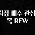 간단정보 하락장 매수 관심 종목 REW 지금 소개할게요