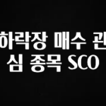 간단뉴스 하락장 매수 관심 종목 SCO 꼭 알아두세요