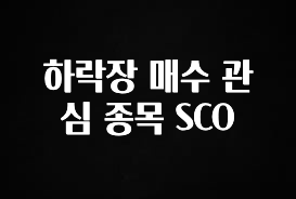 간단뉴스 하락장 매수 관심 종목 SCO 꼭 알아두세요