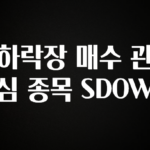 진심이 담긴 하락장 매수 관심 종목 SDOW 군말없이 소개합니다
