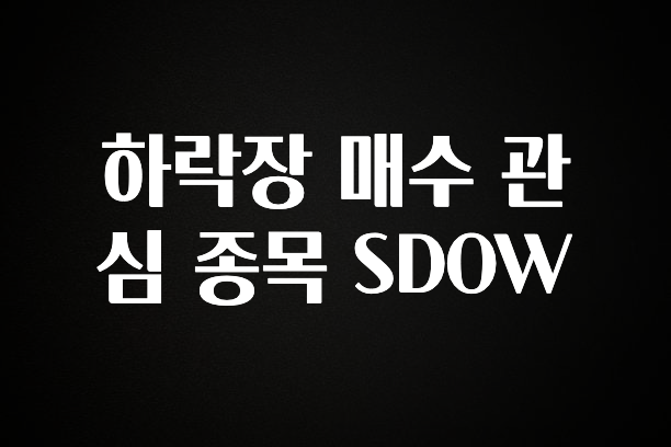진심이 담긴 하락장 매수 관심 종목 SDOW 군말없이 소개합니다