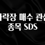 “후기” 꼭보세요 하락장 매수 관심 종목 SDS 요약정리