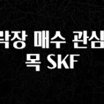 간편확인 하락장 매수 관심 종목 SKF 좋은 정보