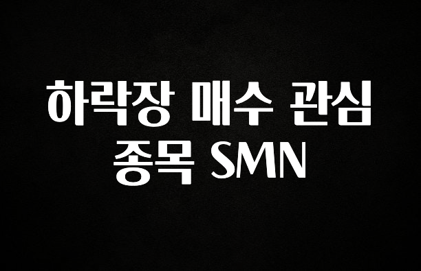 소식”미리보기” 하락장 매수 관심 종목 SMN 궁금하시죠?