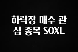 최저가만 선정 하락장 매수 관심 종목 SOXL 한 번에 알려드립니다
