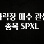 추가정보 하락장 매수 관심 종목 SPXL 기억하세요