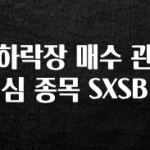 지금 당장 확인해야하는 이유 하락장 매수 관심 종목 SXSB 알려드릴게요