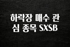 지금 당장 확인해야하는 이유 하락장 매수 관심 종목 SXSB 알려드릴게요