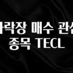 사랑을 담은 선물 하락장 매수 관심 종목 TECL 관심이 뜨거운 이유 입니다