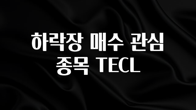 사랑을 담은 선물 하락장 매수 관심 종목 TECL 관심이 뜨거운 이유 입니다