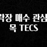 빠르게 확인 하세요! 하락장 매수 관심 종목 TECS 업데이트된 소식입니다