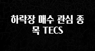 빠르게 확인 하세요! 하락장 매수 관심 종목 TECS 업데이트된 소식입니다