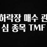 검색량 증가한 하락장 매수 관심 종목 TMF 실시간 리뷰입니다