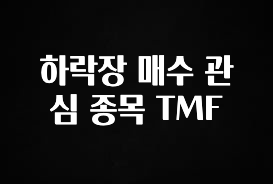 검색량 증가한 하락장 매수 관심 종목 TMF 실시간 리뷰입니다