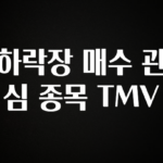 업뎃 정보 하락장 매수 관심 종목 TMV 궁금하신가요?