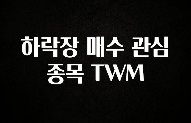 소식”미리보기” 하락장 매수 관심 종목 TWM 전해드립니다