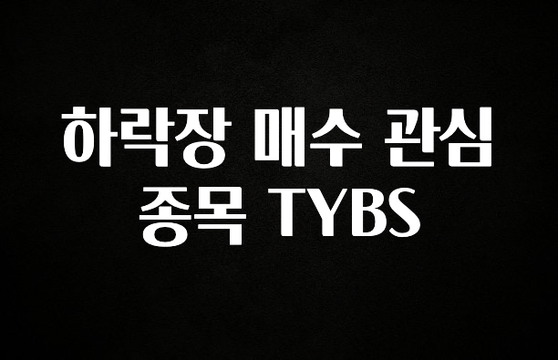 대박소식 하락장 매수 관심 종목 TYBS 알려드립니다