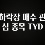 이달의 핫 하락장 매수 관심 종목 TYD 요약정리