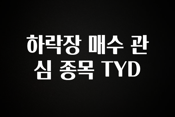 이달의 핫 하락장 매수 관심 종목 TYD 요약정리