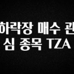 놓치지말고 하락장 매수 관심 종목 TZA 바로 소개합니다.