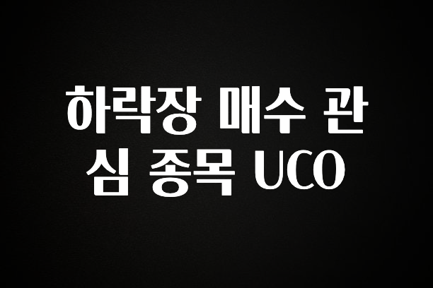 보고싶은 순간 하락장 매수 관심 종목 UCO 업데이트된 소식입니다
