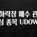 MZ세대 “주목” 하락장 매수 관심 종목 UDOW 바로 소개합니다.