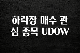 MZ세대 “주목” 하락장 매수 관심 종목 UDOW 바로 소개합니다.
