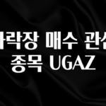 가성비 좋은 하락장 매수 관심 종목 UGAZ 한 번에 알려드립니다