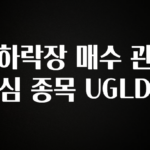 특별한 이유 하락장 매수 관심 종목 UGLD 주목하고 계십니다