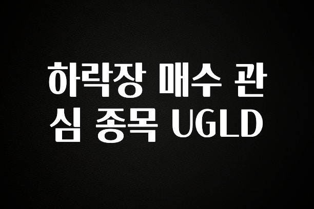 특별한 이유 하락장 매수 관심 종목 UGLD 주목하고 계십니다