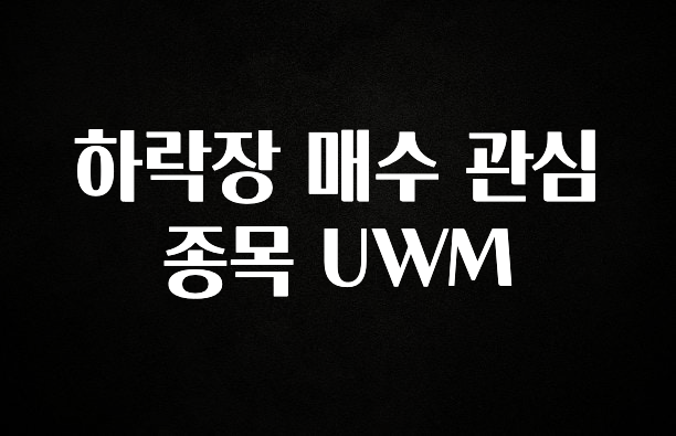모두가 궁금했던 하락장 매수 관심 종목 UWM 실간 리뷰