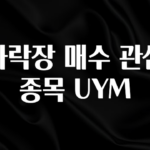 인스타 정보 하락장 매수 관심 종목 UYM 30초면 확인 가능합니다