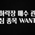 우리도 이렇게하자 하락장 매수 관심 종목 WANT 좋은 정보