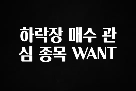우리도 이렇게하자 하락장 매수 관심 종목 WANT 좋은 정보