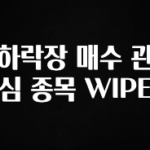 주목 하락장 매수 관심 종목 WIPE 좋은 정보