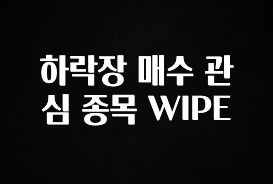 주목 하락장 매수 관심 종목 WIPE 좋은 정보