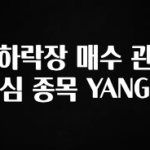 sns소식 하락장 매수 관심 종목 YANG 리뷰 해보겠습니다