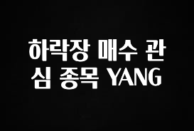 sns소식 하락장 매수 관심 종목 YANG 리뷰 해보겠습니다