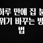 주목 하루 만에 집 분위기 바꾸는 방법 알려드립니다